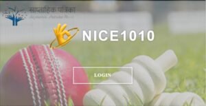 Nice1010 Fun