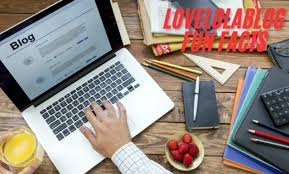 Lovelolablog Fun Facts